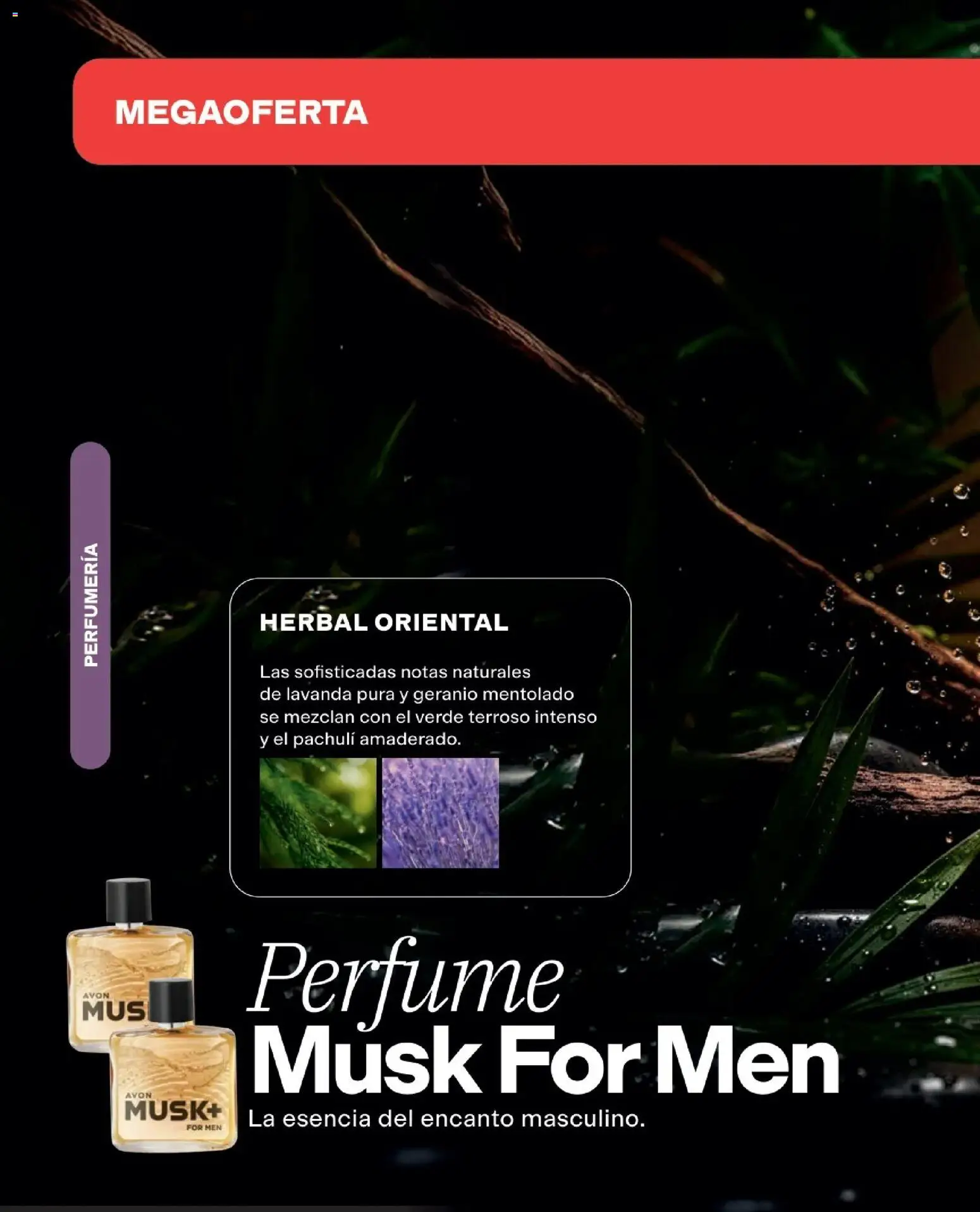 Avon revista - valida desde el 01.05.2026 | Página: 86 | Productos: Perfume