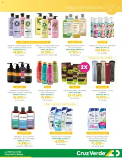 Belleza y Cuidado Personal Cruz Verde │ válido desde el 01.08.2025 | Página: 11 | Productos: Sal, Acondicionador, Shampoo, Tintura