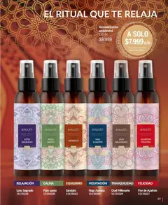 Vista previa Bagués - Catálogo válido desde el 17.11.2025 | Página: 89 | Productos: Té