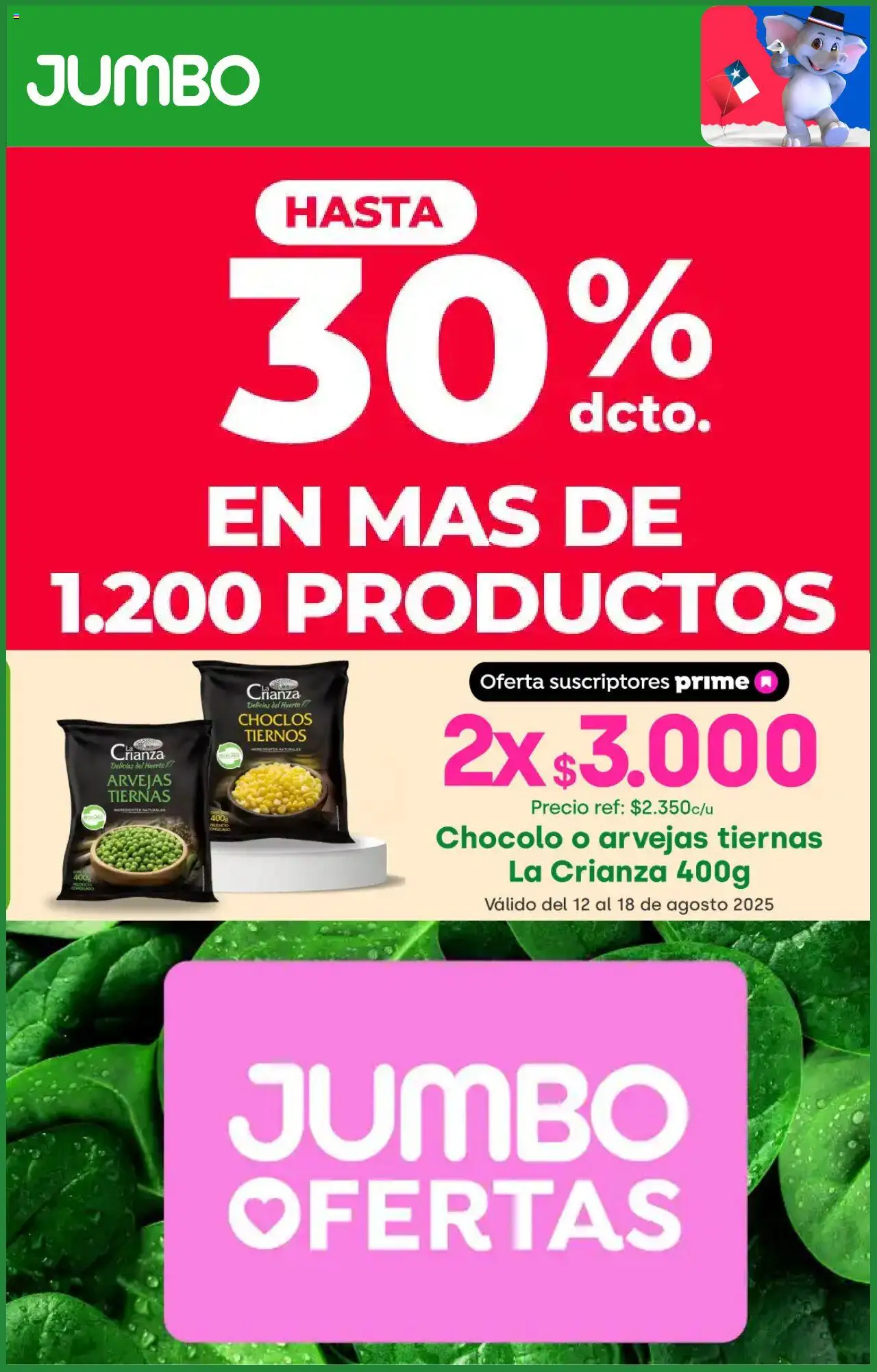 Jumbo ofertas  │ válido desde el 12.08.2025 | Página: 1 | Productos: Arvejas