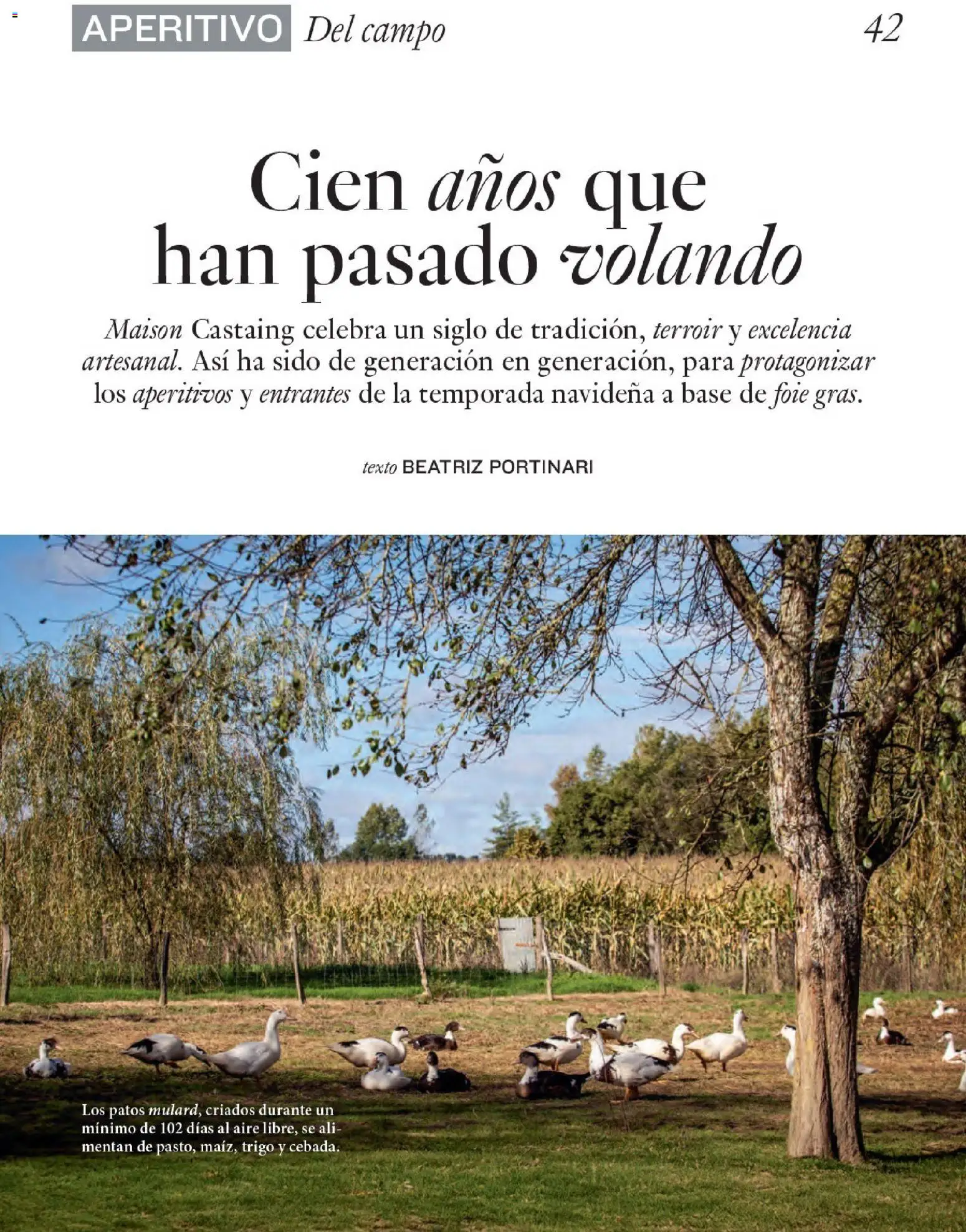 Nuevas ofertas de El Corte Inglés válidas en toda la República Mexicana desde el 11.12.2025. ¡Encuentra las mejores ofertas en El Corte Inglés catálogo Gourmet! | Página: 42