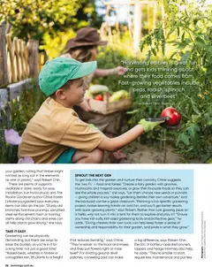 Preview of Bunnings Catalogue - valid from 01.04.2026 | Page: 36