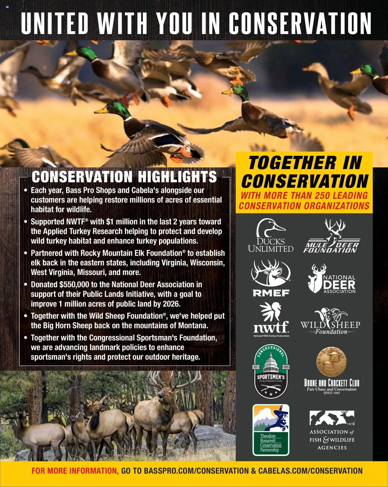 Cabela's Hunting Master 25 - valid from 11.08.2025 | Page: 15 | Products: Foundation, Fish