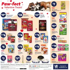 Preview of Family Dollar weekly ads valid from 08.02.2026 | Page: 13 | Products: Bed, Cat Food, Beef, Bag