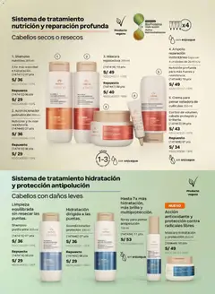 Vista previa de folleto Natura catálogo  - Ciclo 7 de la Natura válido desde 31.03.2026 | Página: 134