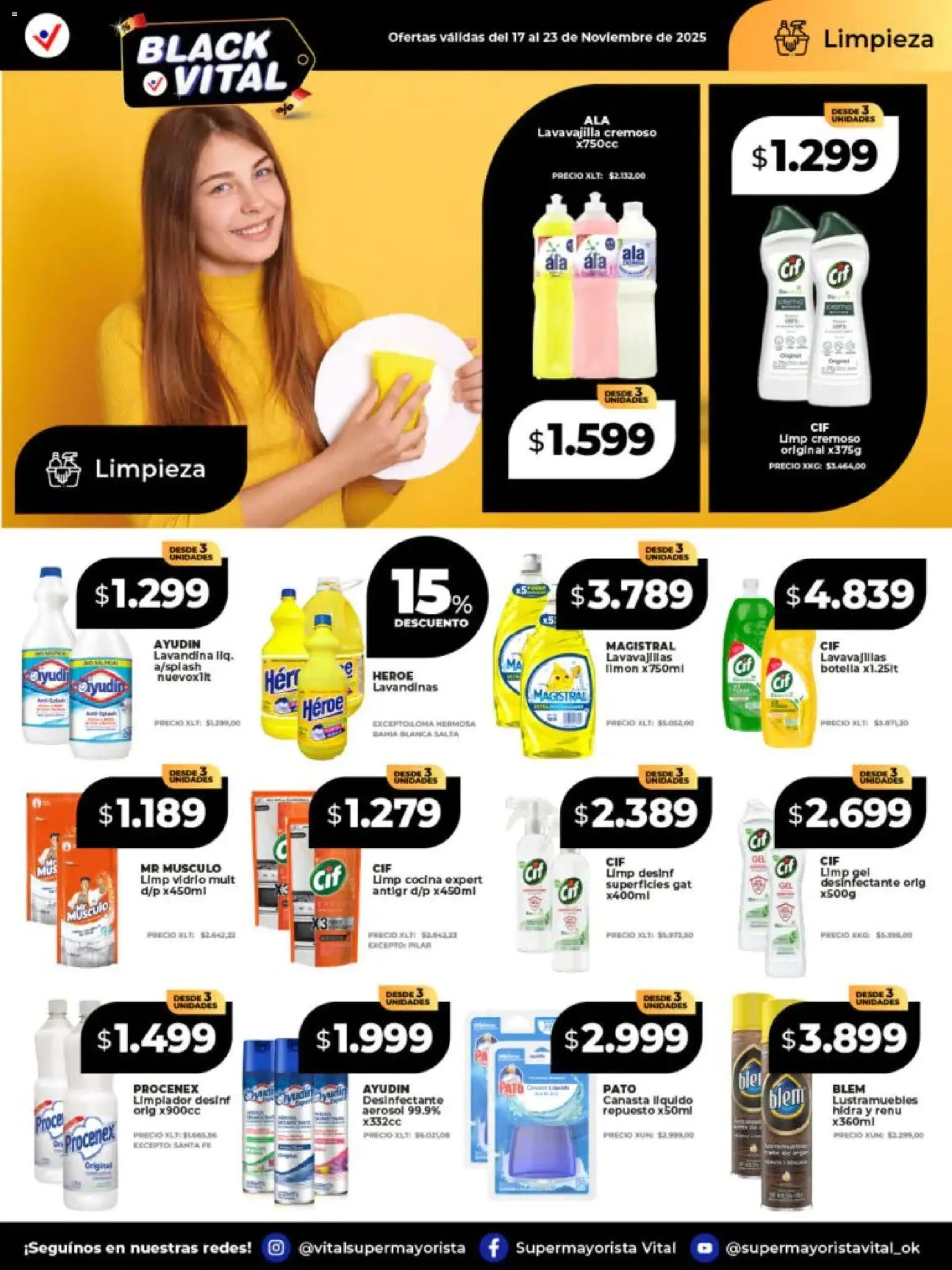 Vital - Ofertas - Posadas │ válido desde el 17.11.2025 | Página: 7 | Productos: Lavandina, Lavavajillas, Limpiador, Canasta