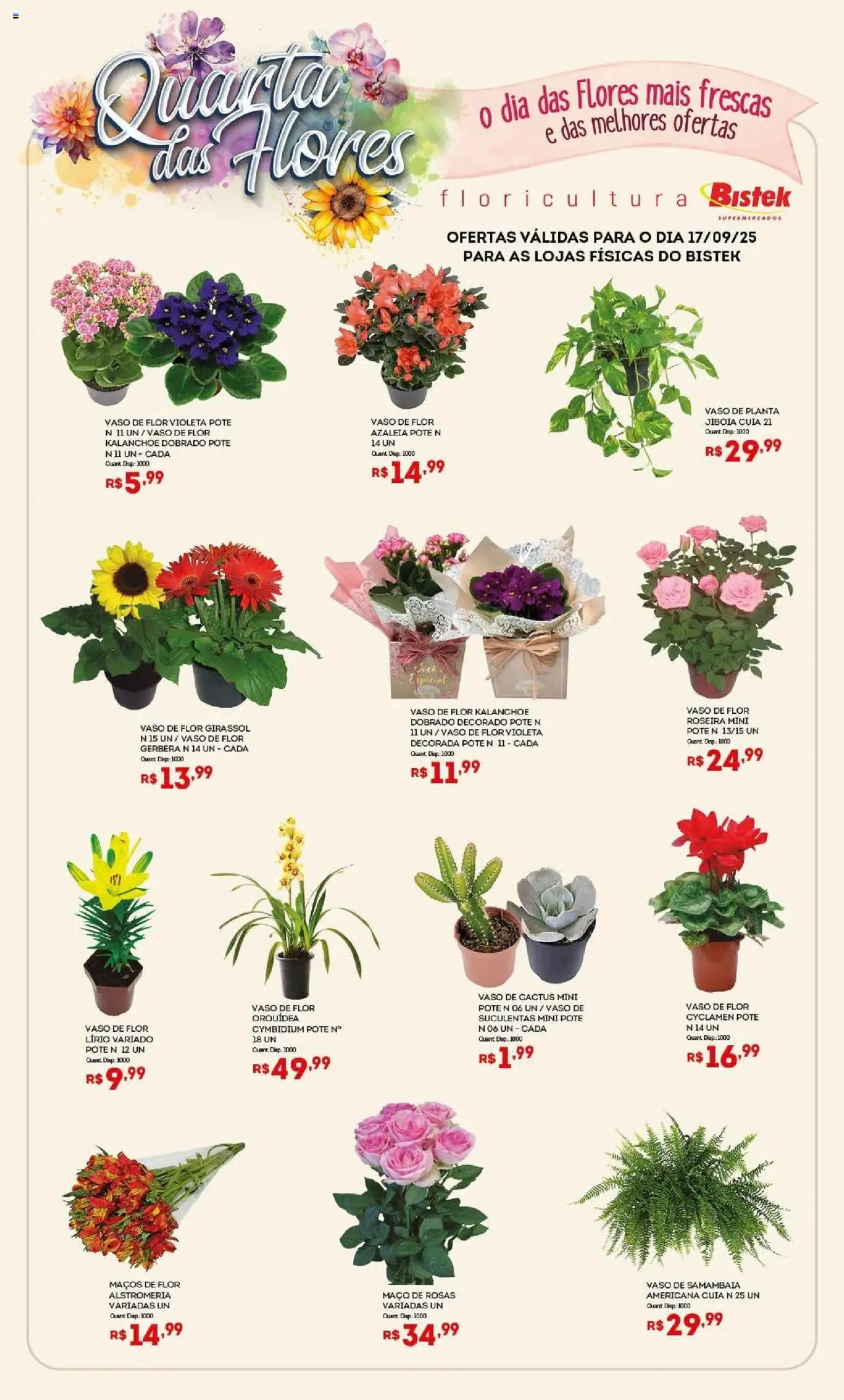 Bistek Supermercados Folheto - válido de 17.09.2025 | Página: 1 | Produtos: Flores, Vaso