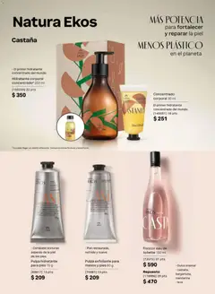 Vista previa de Natura campaña 6 2026, nuevo folleto de la tienda, válido en México a partir del 02.04.2026 | Página: 113