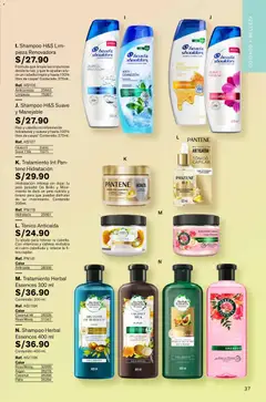 Vista previa de folleto Leonisa - Aliados Leonisa  de la Leonisa válido desde 06.03.2026 | Página: 37