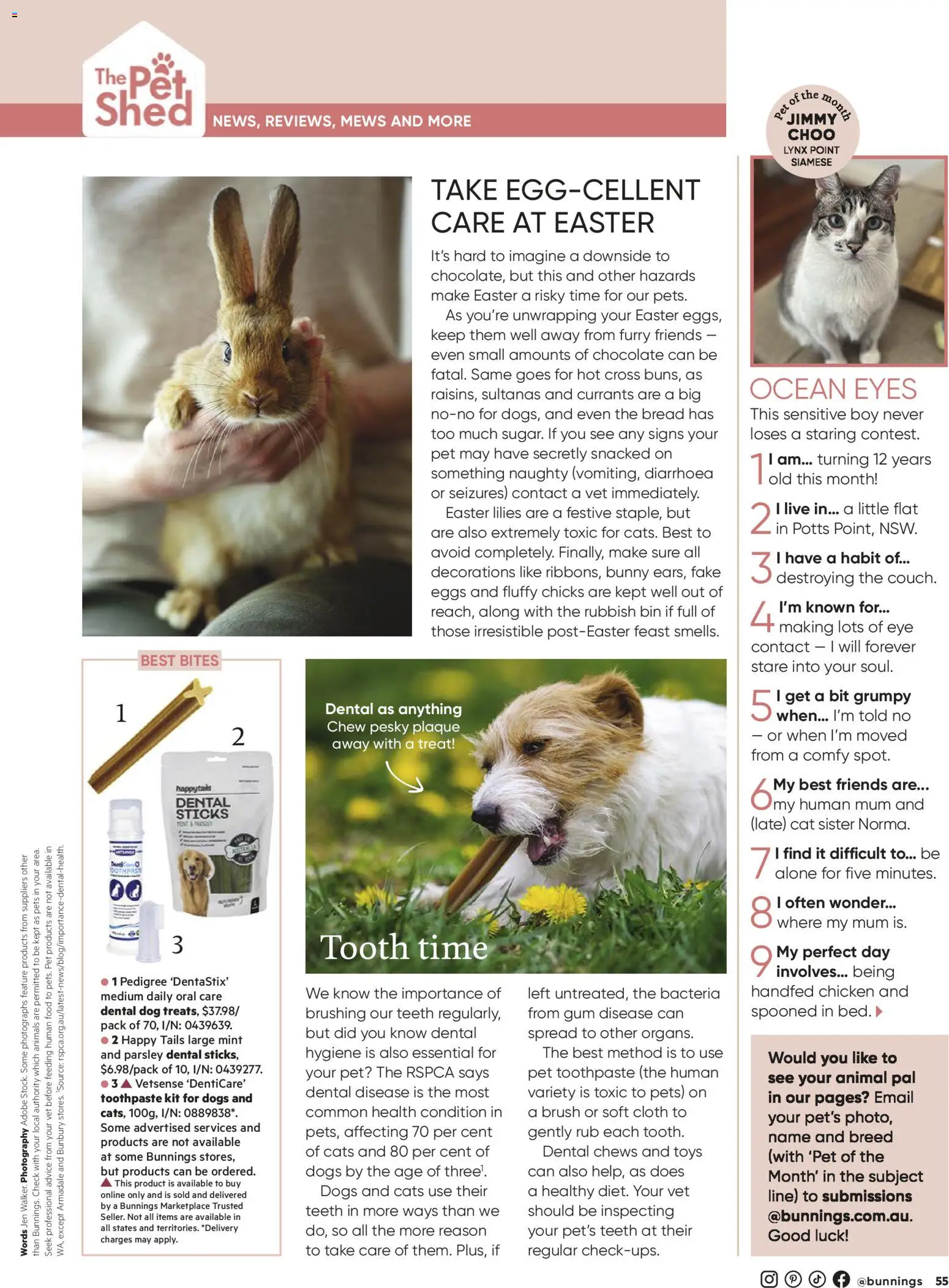 Bunnings Warehouse catalogue - valid from 01.03.2026 | Page: 55 | Products: Bread, Gum, Shed, Parsley