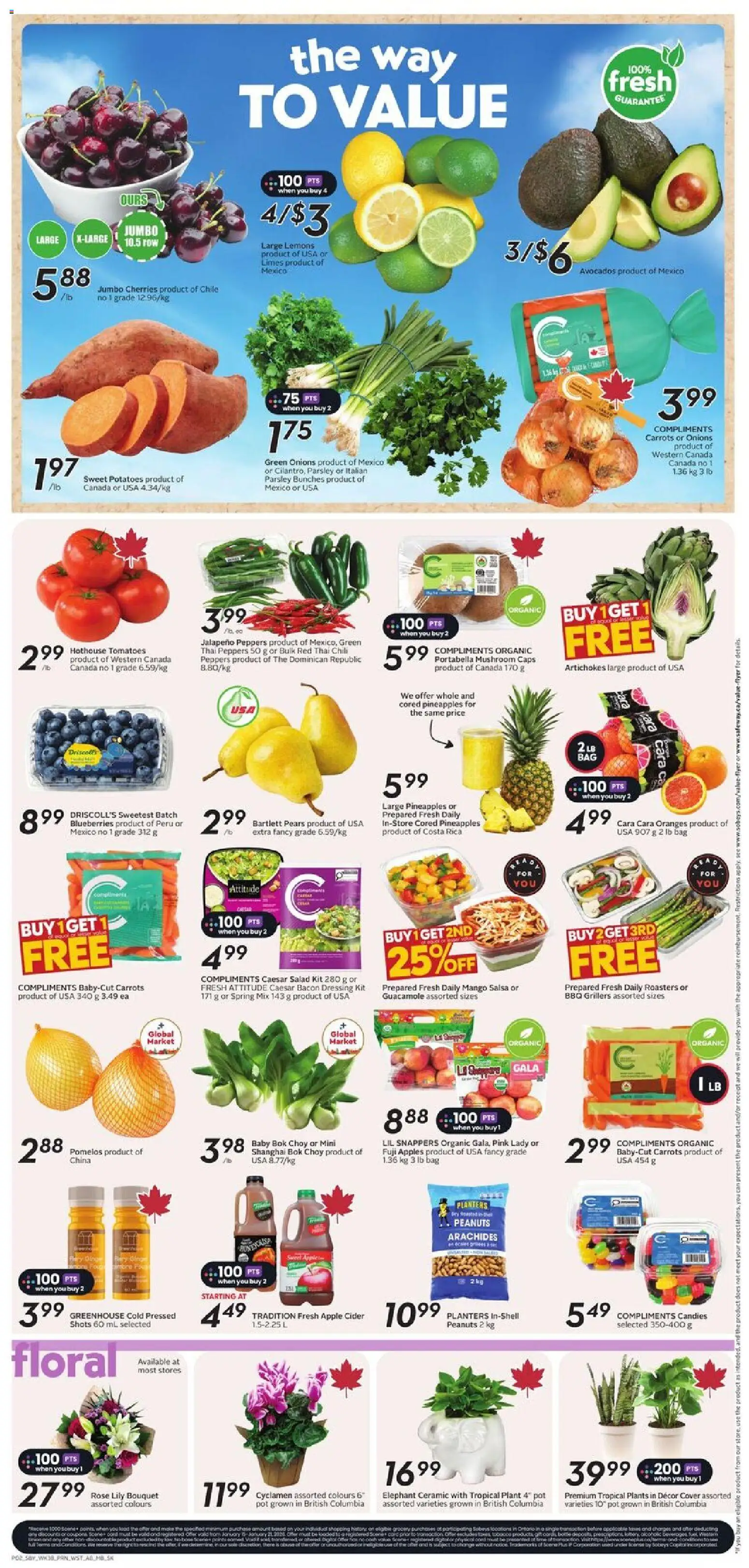 Safeway flyer valid from 15.01.2026 | Page: 5 | Products: Candies, Salad, Apples, Oranges
