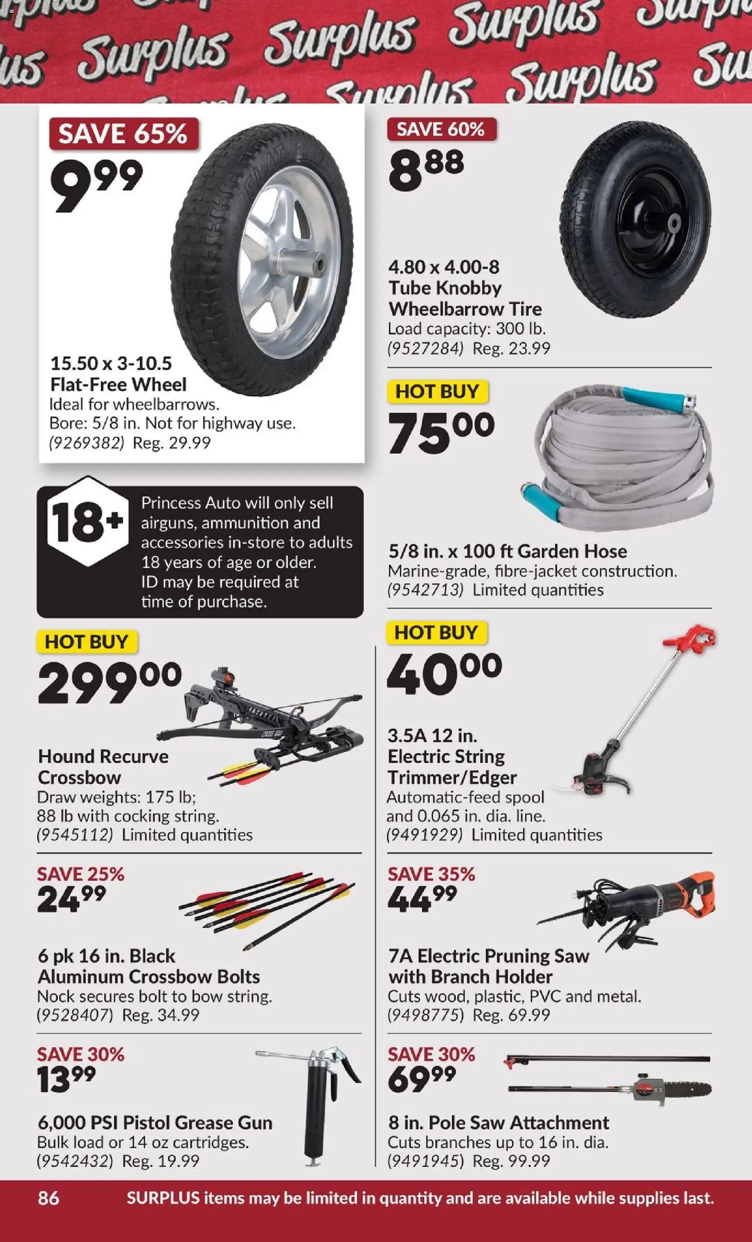 Princess Auto flyer valid from 10.03.2026 | Page: 91