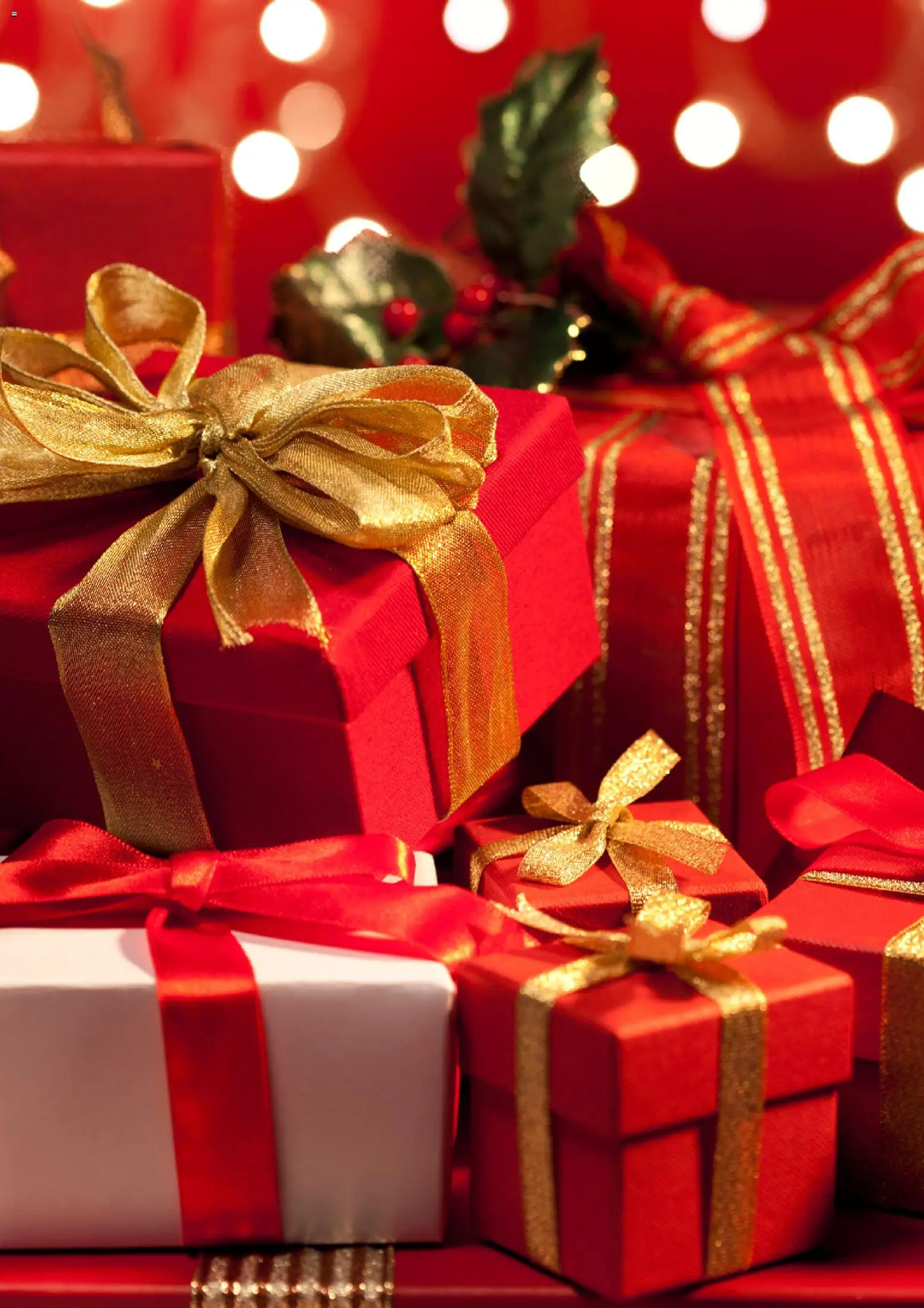 Easy catálogo │ válido desde el 06.11.2025 | Página: 7