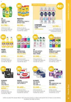 Pigmento catálogo │ válido desde el 05.08.2025 | Página: 15 | Productos: Lavandina, Limón, Limpiador, Crema
