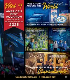Preview of Cabela's weekly ads valid from 01.11.2025 | Page: 177