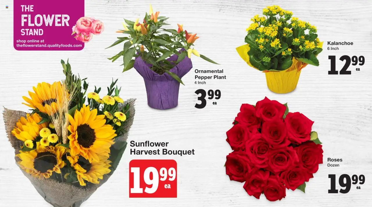 Quality Foods flyer valid from 28.08.2025 | Page: 3