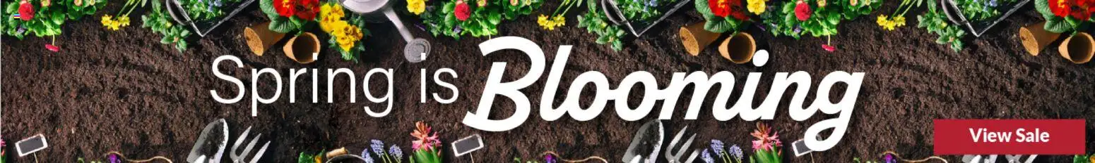 Big Y Weekly Ad - valid from 19.03.2026 | Page: 9