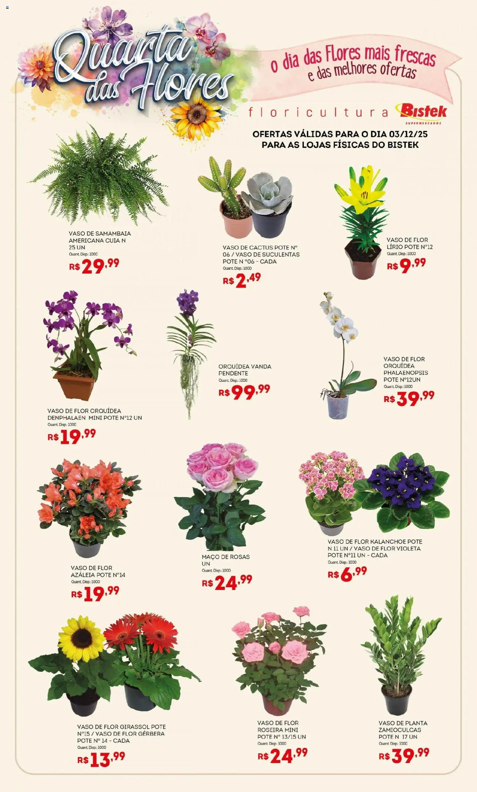 Bistek Supermercados Folheto - válido de 03.12.2025 | Página: 1 | Produtos: Denphalaen, Flores, Vaso