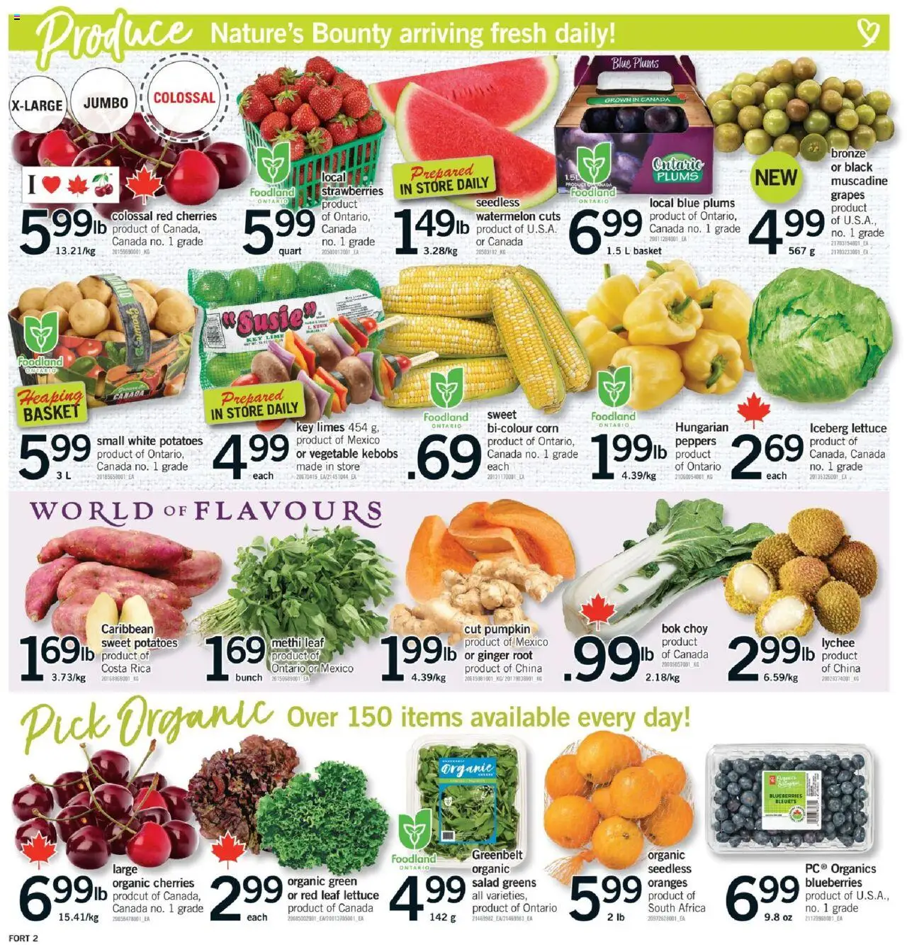 Fortinos flyer valid from 14.08.2025 | Page: 3 | Products: Salad, Basket, Pumpkin, Oranges