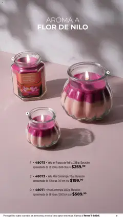 Vista previa de Home Interiors catálogo Magia de las Velas , nuevo folleto de la tienda, válido en México a partir del 31.03.2025 | Página: 9 | Productos: Frasco, Vela
