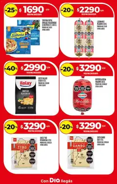 Vista previa Supermercado DIA Ofertas válido desde el 12.11.2025 | Página: 13