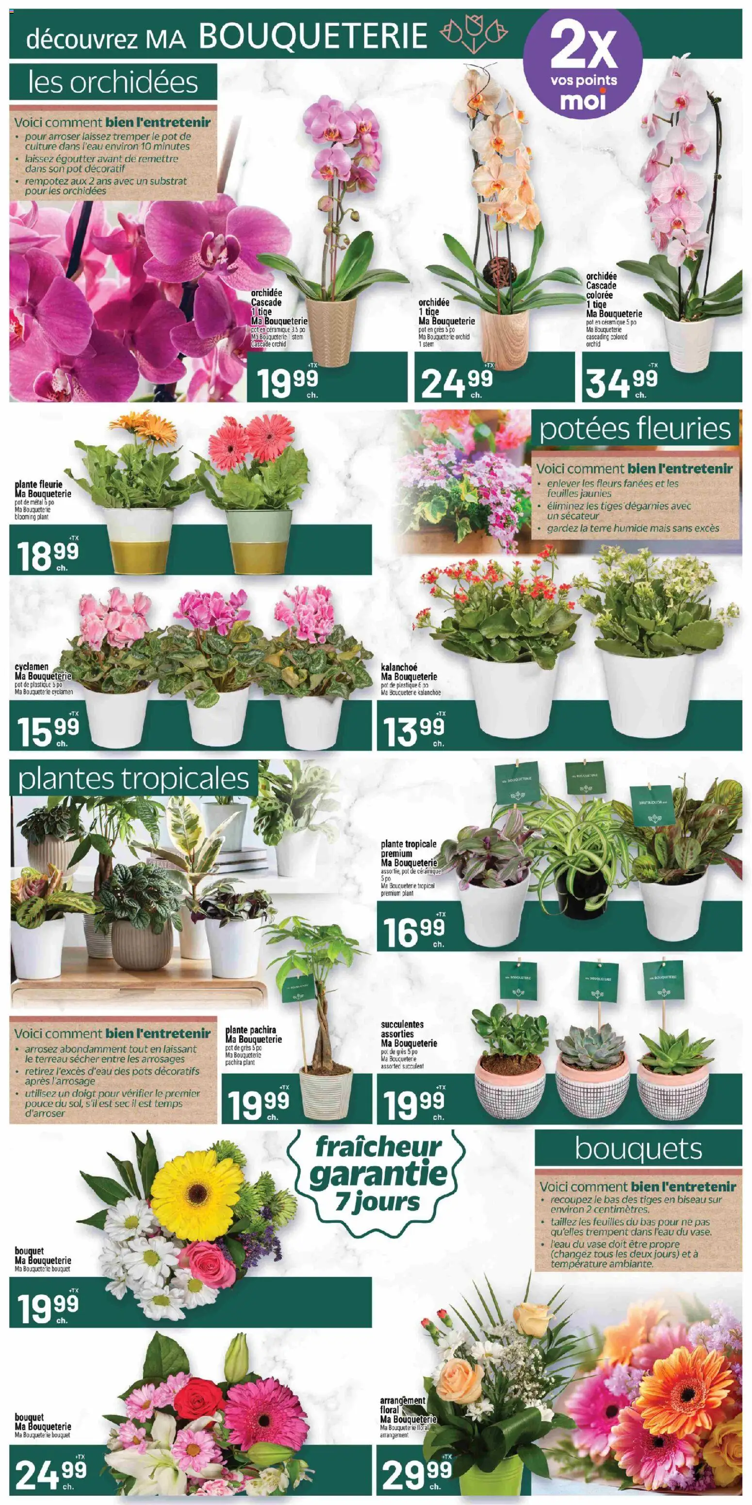 Metro flyer valid from 05.02.2026 | Page: 8