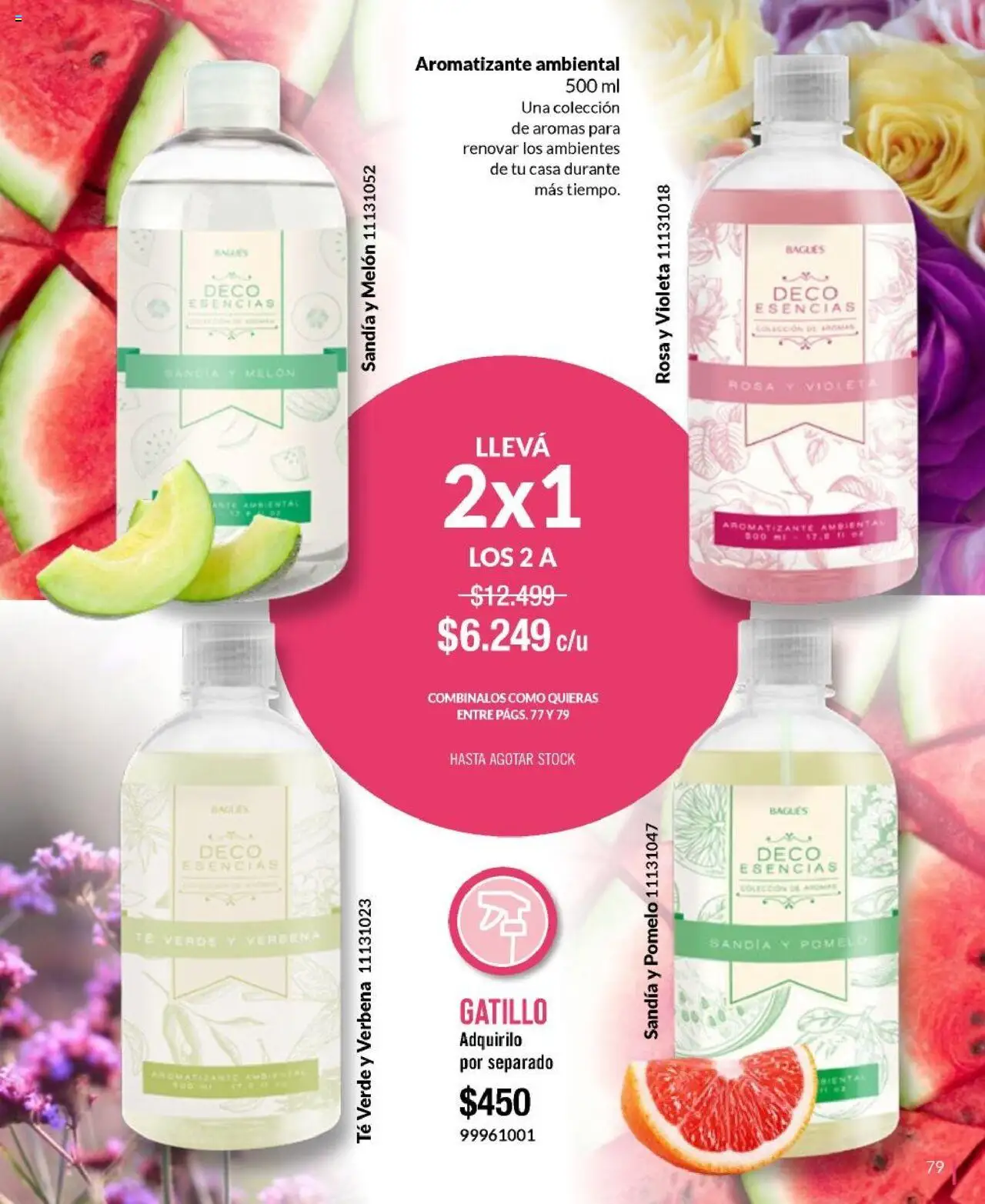 Bagués catálogo │ válido desde el 01.06.2025 | Página: 79 | Productos: Melón, Pomelo, Té, Esencias
