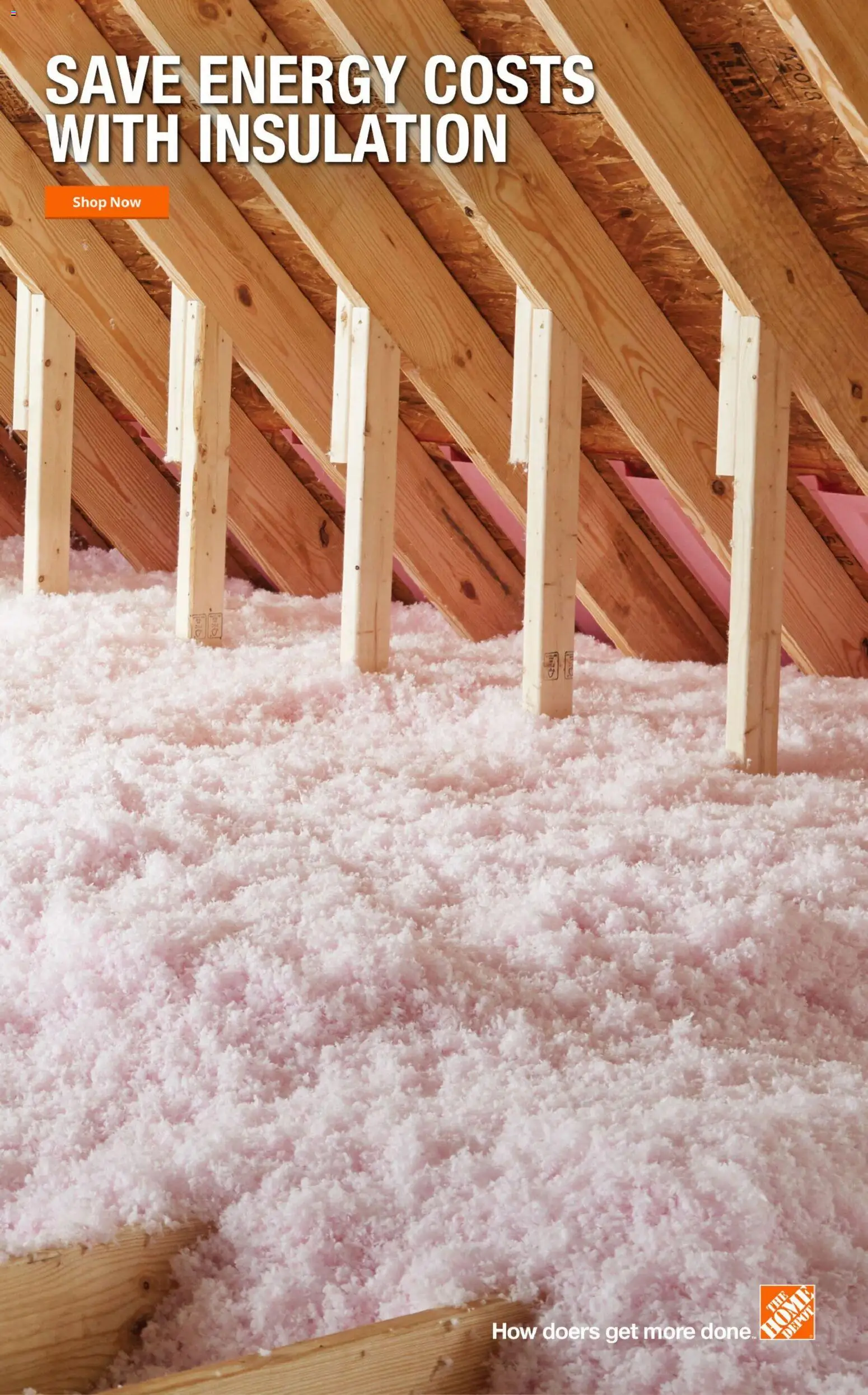 Home Depot Weekly Ad - AZ - valid from 29.01.2026 | Page: 10