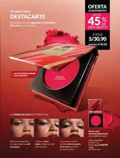 Catálogo Avon válido desde 29.08.2025 | Página: 9 | Productos: Brocha, Té, Polvo, Rubor