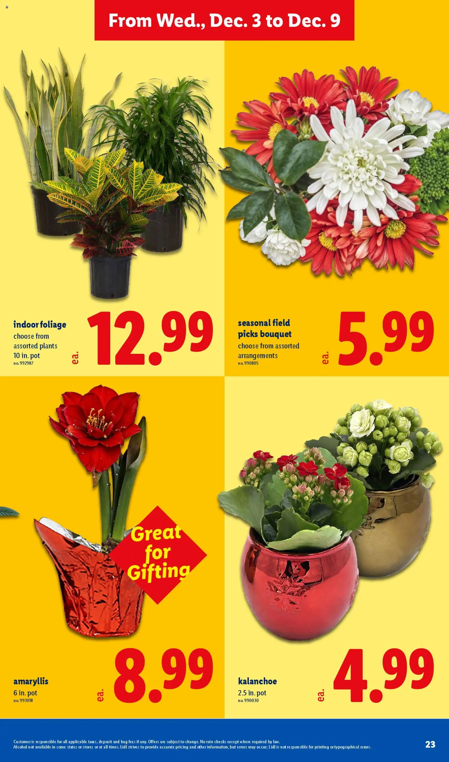 Lidl Weekly Ad - valid from 03.12.2025 | Page: 23
