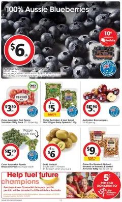 Preview of Coles Catalogue TAS - valid from 15.10.2025 | Page: 15 | Products: Tomatoes, Bananas, Salad, Spinach