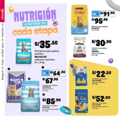 Vista previa de folleto Plaza Vea - Especial Mascotas 2 de la Plaza Vea válido desde 06.04.2026 | Página: 14 | Productos: Leche, Pescado