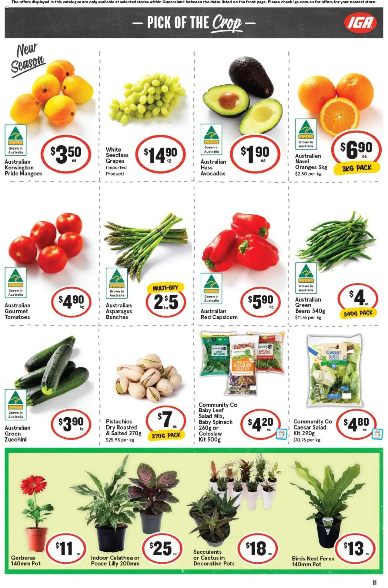 IGA catalogue - valid from 24.09.2025 | Page: 14 | Products: Pot, Oranges, Zucchini, Grapes