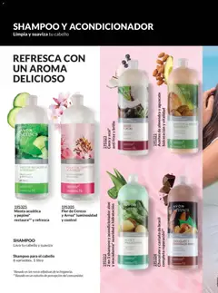 Vista previa de 2 en 1 shampoo y acondicionador aloe y macadamia*, suavidad e hidratación, nuevo folleto de la tienda, válido en México a partir del 30.01.2026 | Página: 192