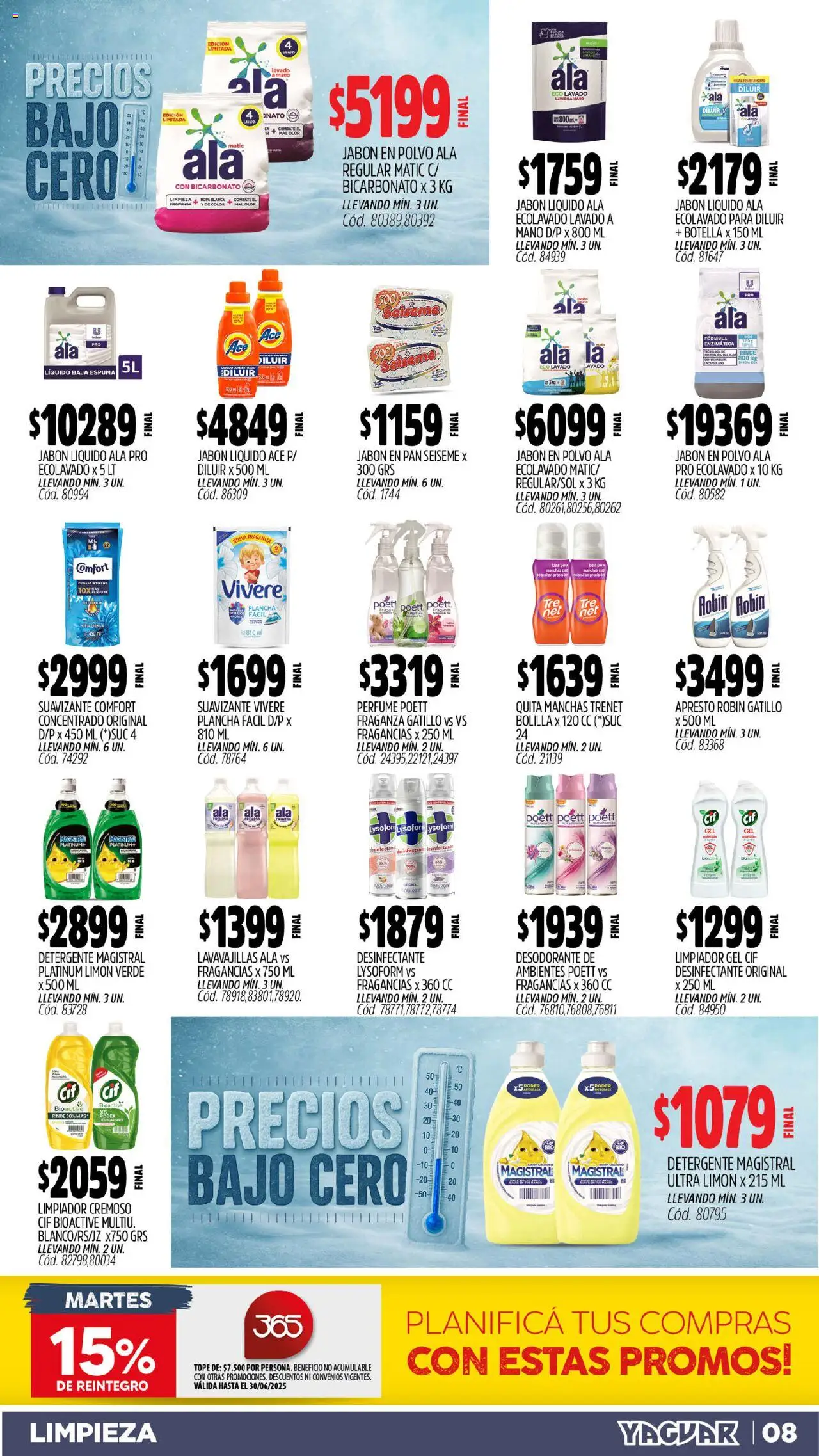 Yaguar catálogo │ válido desde el 09.06.2025 | Página: 9 | Productos: Polvo, Jabón líquido, Desodorante, Limpiador
