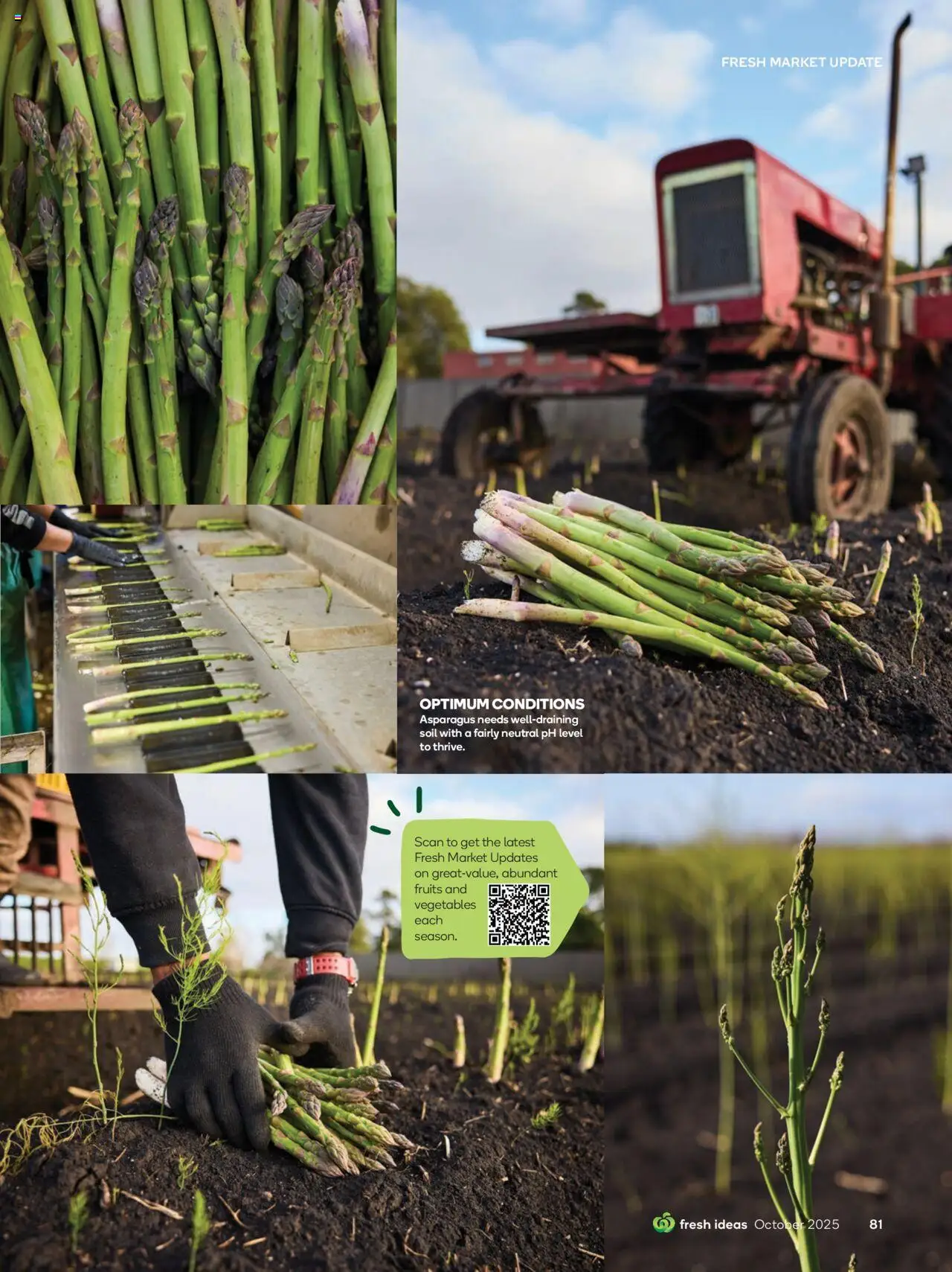 Woolworths catalogue - valid from 01.10.2025 | Page: 81 | Products: Vegetables, Soil, Fruits