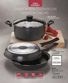 Vista previa Violetta - Violetta Cosméticos válido desde el 30.03.2026 | Página: 67 | Productos: Sartén