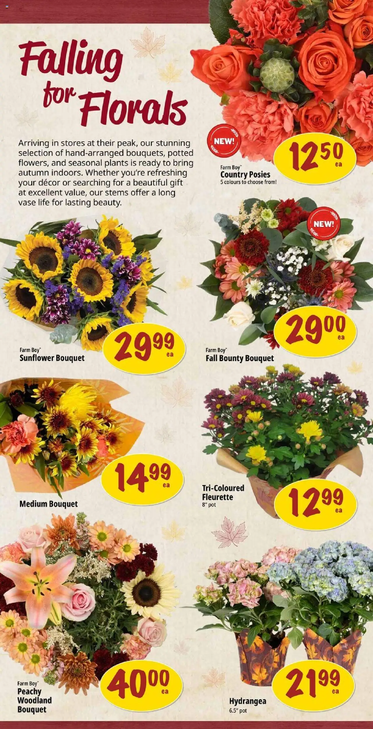 Farm Boy flyer valid from 02.10.2025 | Page: 6 | Products: Vase