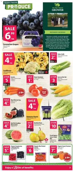 Co-op Food flyer valid from 11.09.2025 | Page: 6