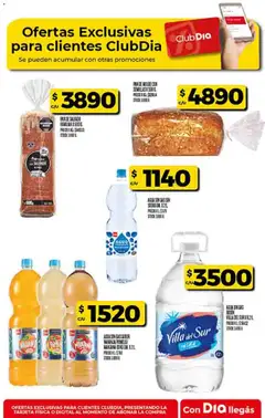 Vista previa Supermercado DIA Ofertas válido desde el 01.04.2026 | Página: 42