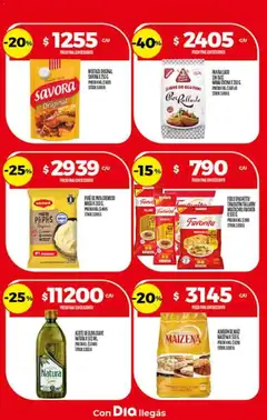 Vista previa Supermercado DIA Ofertas válido desde el 18.02.2026 | Página: 20