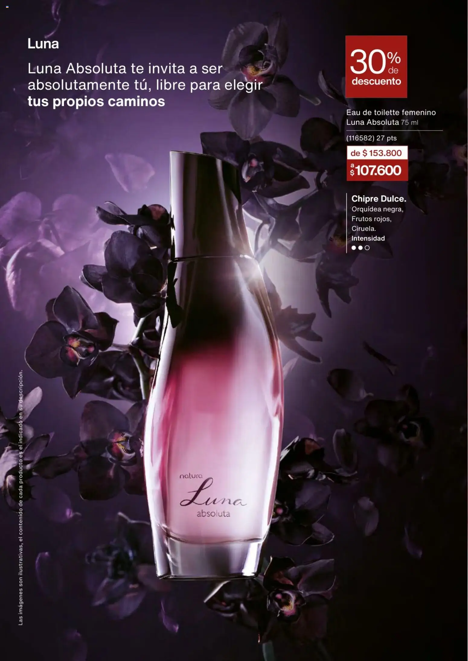 Natura revista - valida desde el 02.01.2026 | Página: 23 | Productos: Té, Eau de toilette