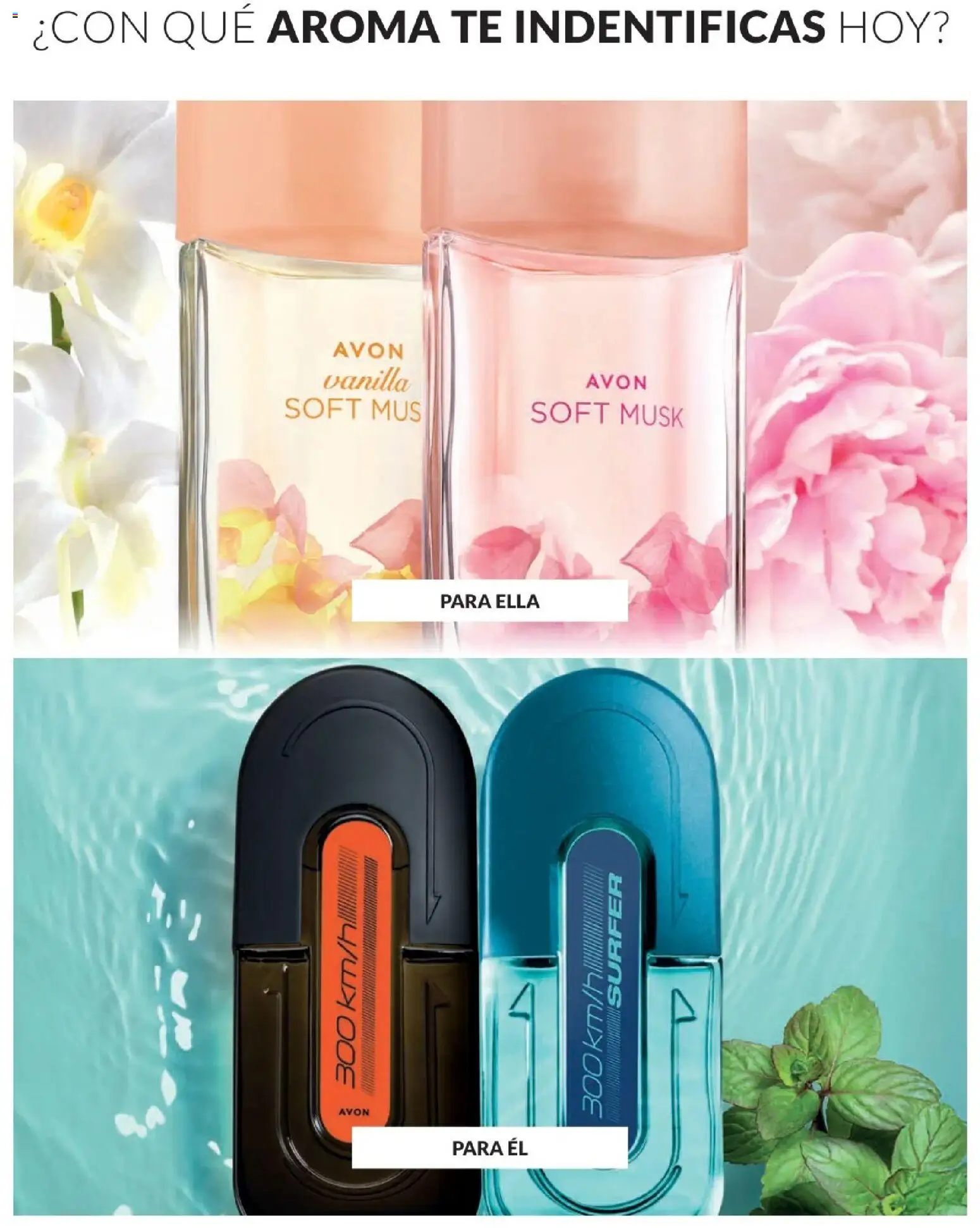 Catálogo Avon válido desde 01.01.2026 | Página: 53 | Productos: Té