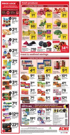 Acme Weekly Ad - valid from 05.09.2025 | Page: 4
