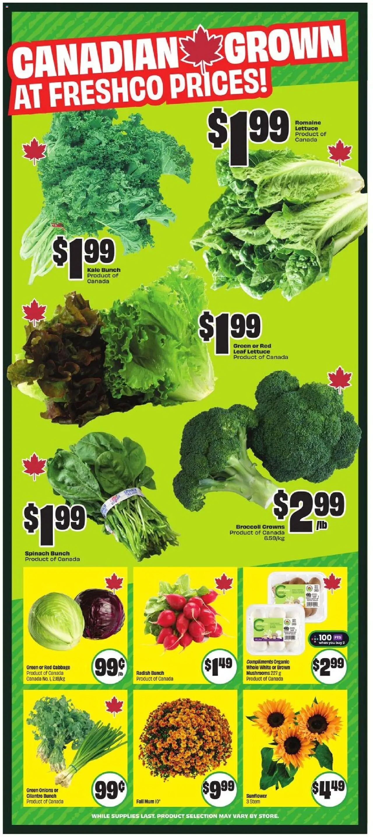 FreshCo flyer valid from 14.08.2025 | Page: 6