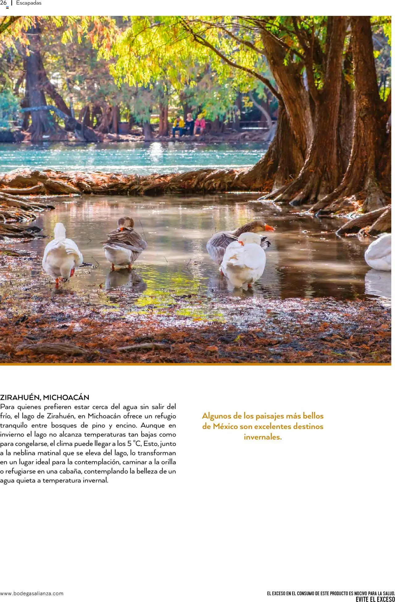 Nuevas ofertas de Bodegas Alianza válidas en toda la República Mexicana desde el 01.10.2025. ¡Encuentra las mejores ofertas en Bodegas Alianza - Catálogo Cava Morada! | Página: 28 | Productos: Agua