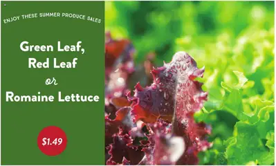 Fresh Thyme Weekly Ad - valid from 16.07.2025 | Page: 4 | Products: Romaine, Lettuce