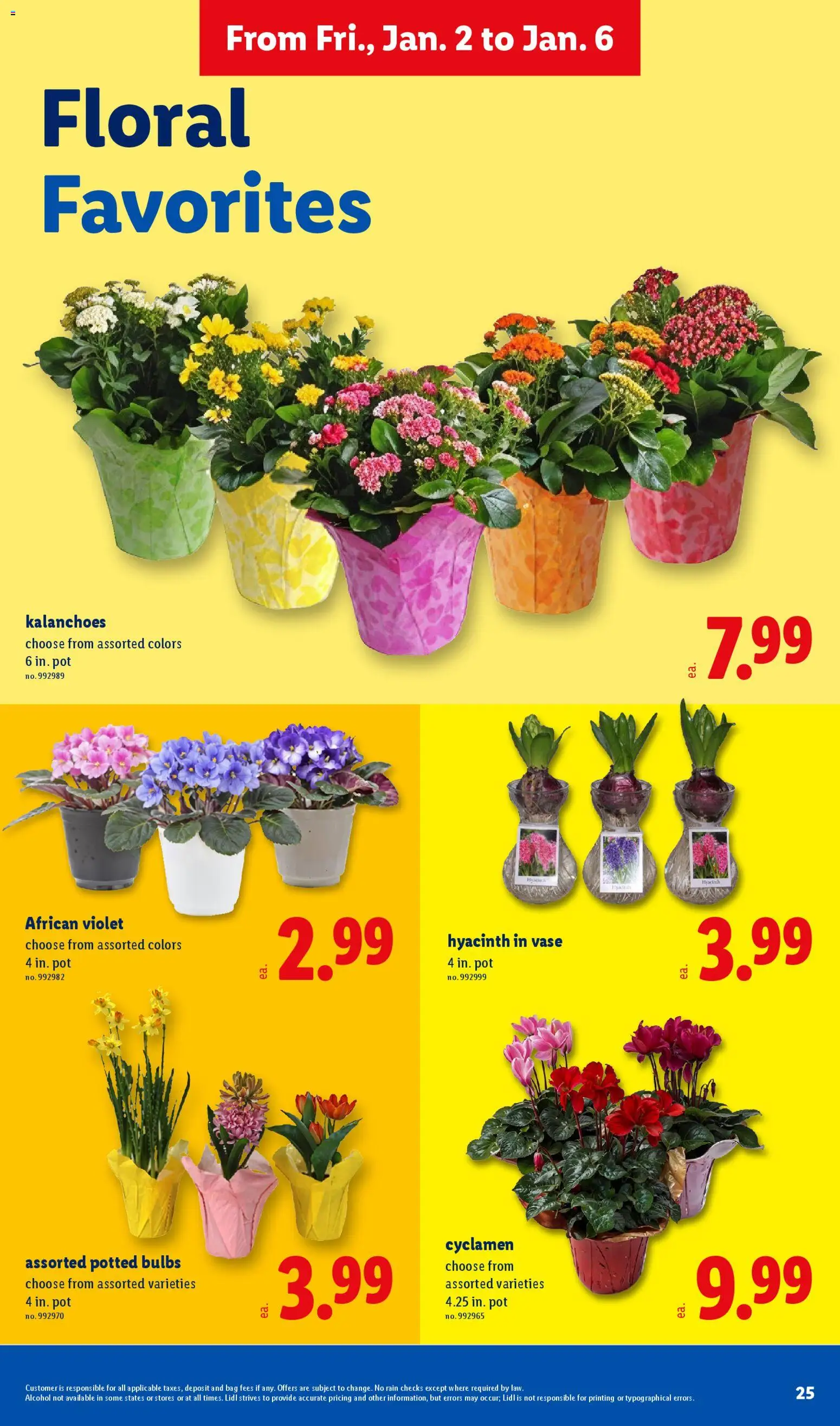 Lidl Weekly Ad - valid from 02.01.2026 | Page: 25 | Products: Vase, Bag
