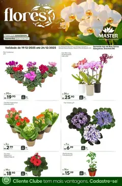 Master - Ofertas Flores - RS - Pré-Visualização do folheto da loja Master, válido de 19.12.2025