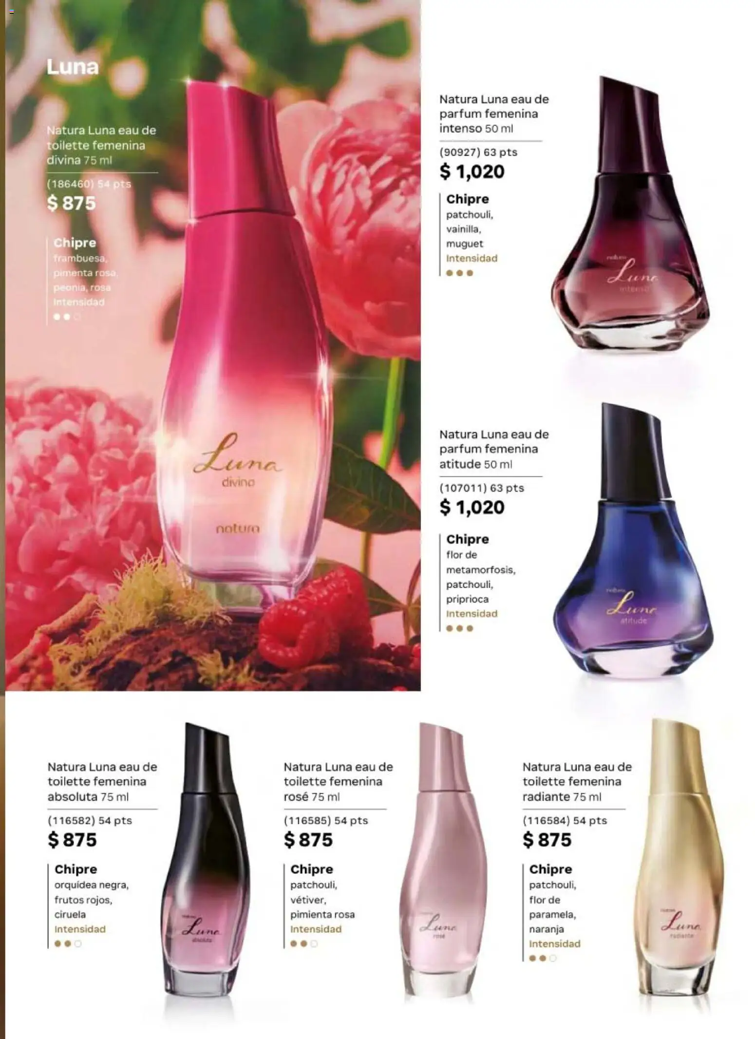 Nuevas ofertas de Natura válidas en toda la República Mexicana desde el 08.05.2026. ¡Encuentra las mejores ofertas en Natura campaña 8 2026! | Página: 39 | Productos: Pimienta, Radiante, Eau de toilette